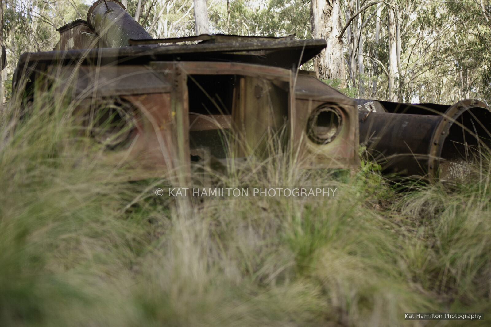 Rusting machinery partly hidden by long grass among eucalyptus trees.